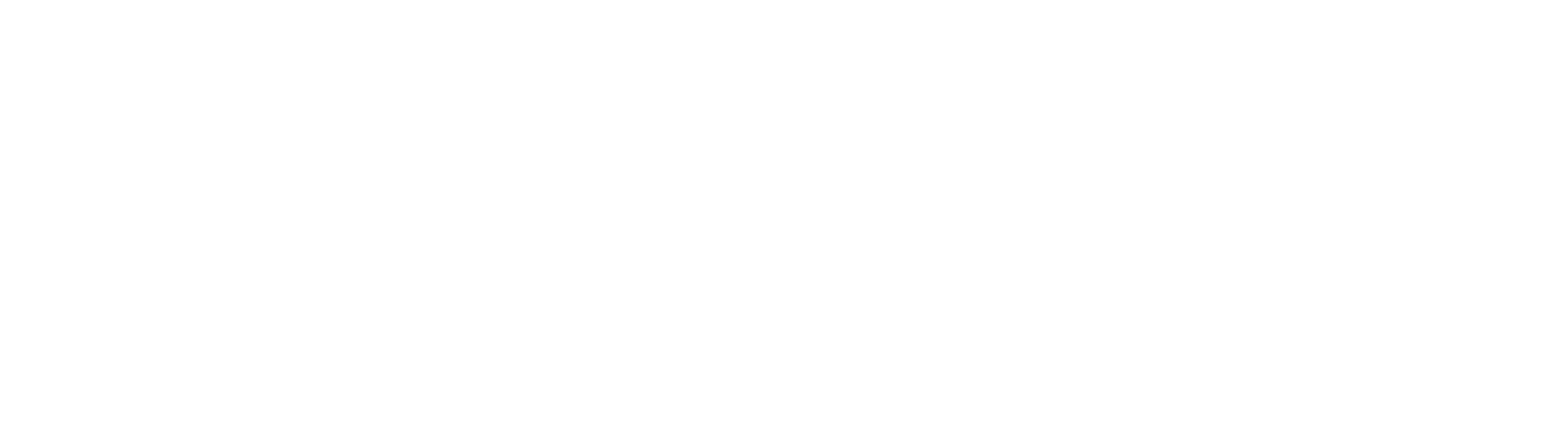 Logo Stamina
